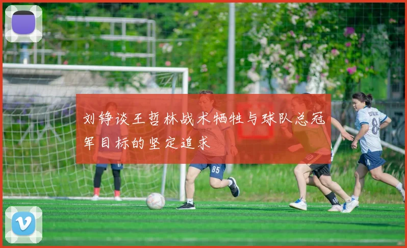 刘铮谈王哲林战术牺牲与球队总冠军目标的坚定追求